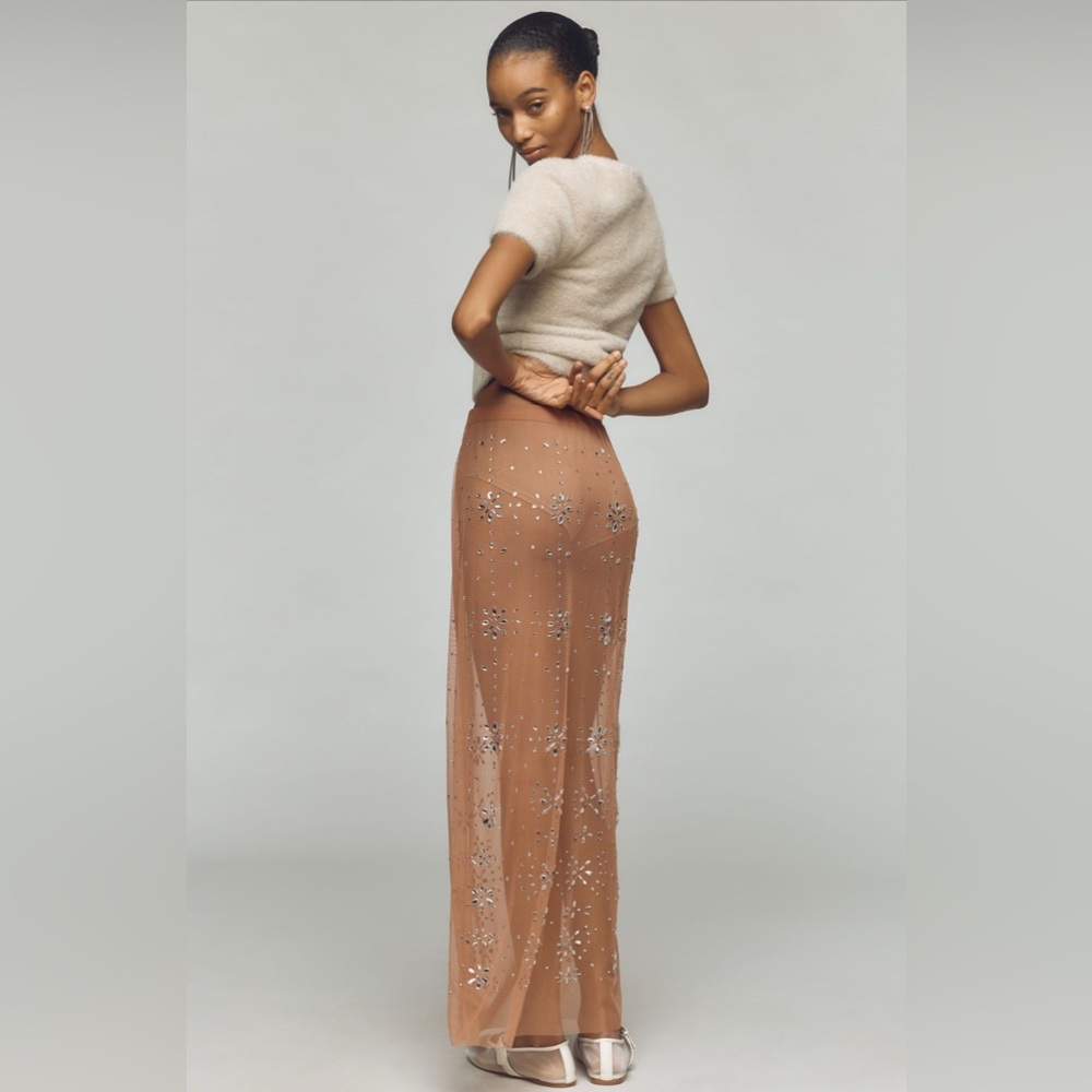 ANTHROPOLOGIE Crystal Sheer Maxi Skirt - Picture 5 of 12